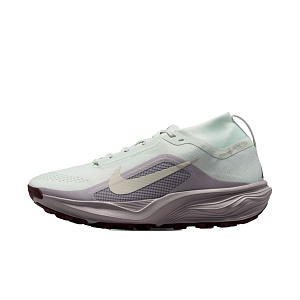 Кроссовки Nike ACG Pegasus Trail Gore-Tex