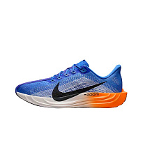 Кроссовки Nike Pegasus Plus