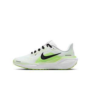 Кроссовки Nike Pegasus 41(GS)