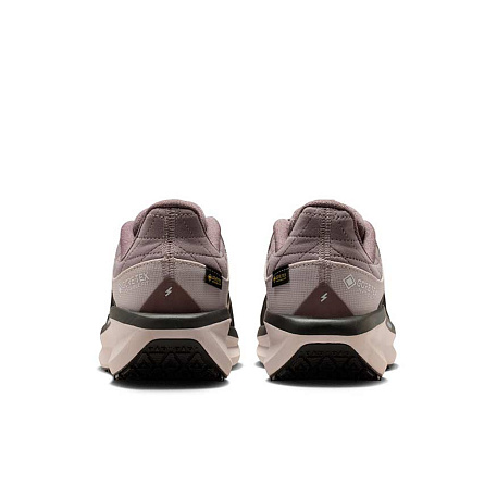 Кроссовки Nike Winflo 11 GORE-TEX