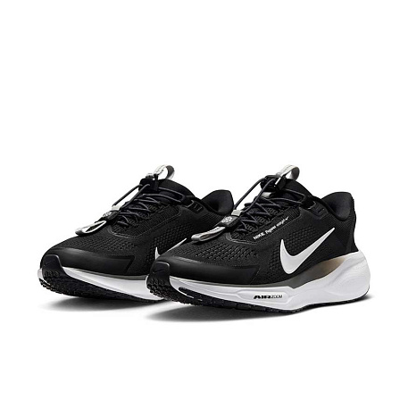 Кроссовки Nike Pegasus EasyOn