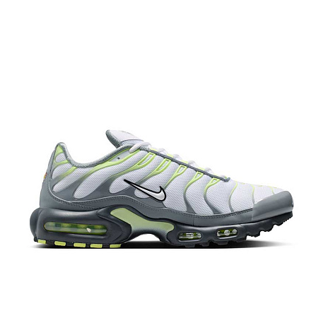 Кроссовки Nike Air Max Plus