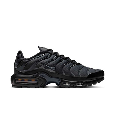 Кроссовки Nike Air Max Plus