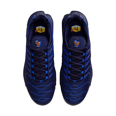Кроссовки Nike Air Max Plus