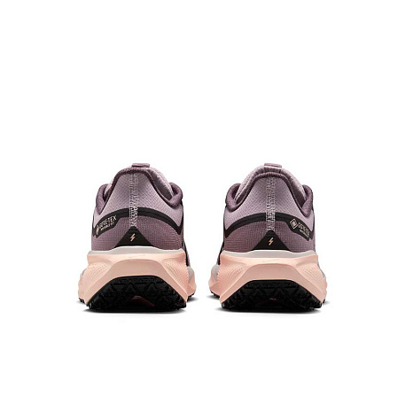 Кроссовки Nike Pegasus 41 GORE-TEX