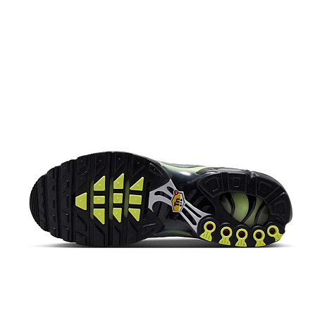 Кроссовки Nike Air Max Plus