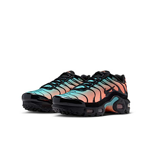 Кроссовки Nike Air Max Plus