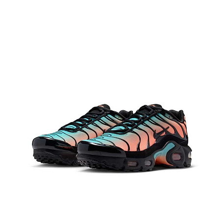 Кроссовки Nike Air Max Plus