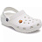 Украшение для обуви Crocs Teensy Tiny Lion