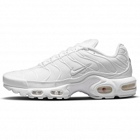 Кроссовки Nike AIR MAX PLUS
