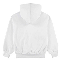 Толстовка Jordan Brroklyn Fleece