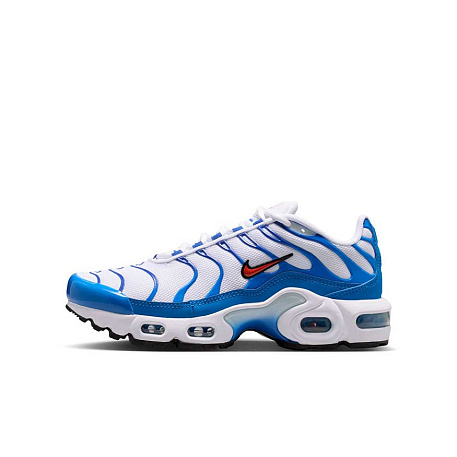 Кроссовки Nike Air Max Plus (GS)