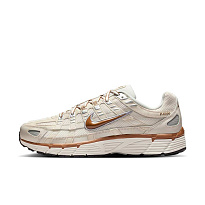 Кроссовки Nike P-6000