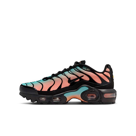 Кроссовки Nike Air Max Plus