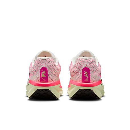 Кроссовки Nike Winflo 11