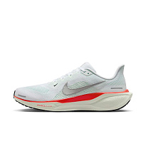 Кроссовки Nike Pegasus 41