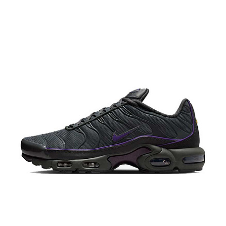 Кроссовки Nike Air Max Plus