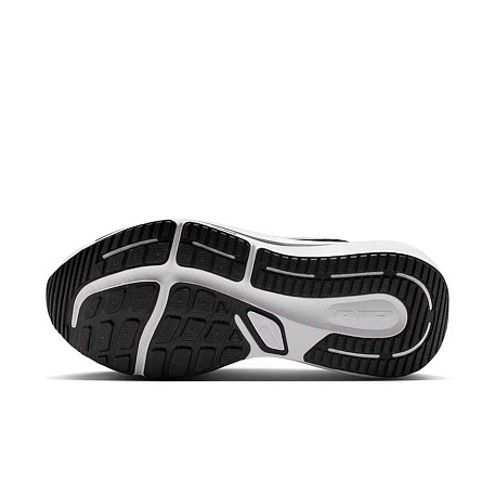 Кроссовки Nike Air Winflo 12