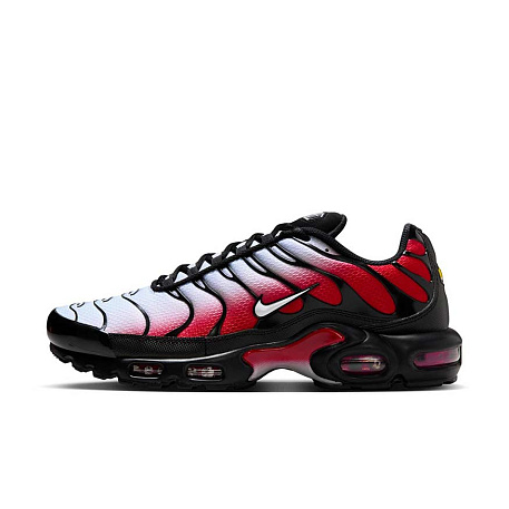 Кроссовки Nike Air Max Plus