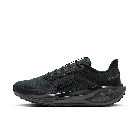 Кроссовки Nike Pegasus 41 GORE-TEX