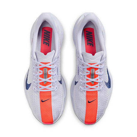 Кроссовки Nike Pegasus Plus