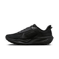 Кроссовки Nike All Conditions Gear Pegasus Trail