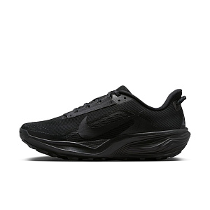 Кроссовки Nike All Conditions Gear Pegasus Trail