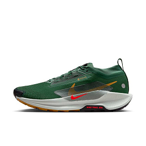 Кроссовки Nike Pegasus Trail 5 GORE-TEX