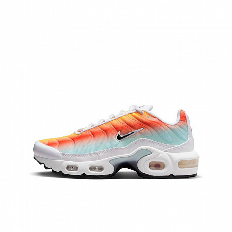 Nike Air Max Plus HF5180 100 All Stars.by