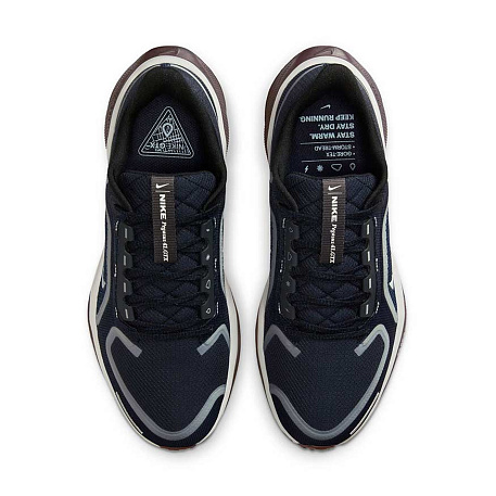 Кроссовки Nike Pegasus 41 GORE-TEX