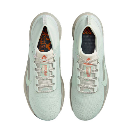 Кроссовки Nike ACG Pegasus Trail Gore-Tex
