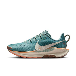 Кроссовки Nike Pegasus Trail 5