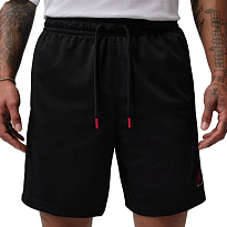 Шорты Jordan Break Champion Mesh Short