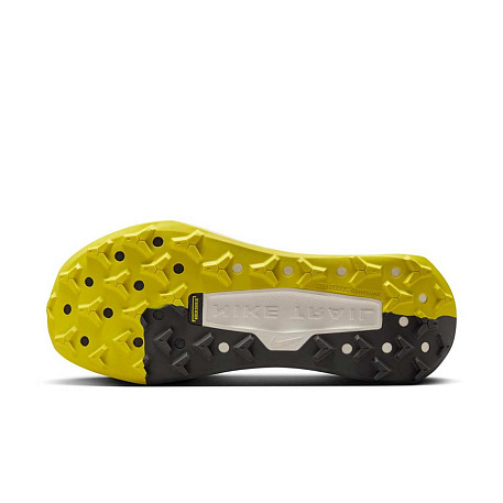 Кроссовки Nike Wildhorse 10