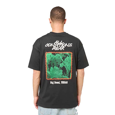 Футболка Nike ACG OC Cactus Dri-FIT Graphic