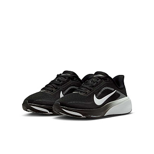 Кроссовки Nike Air Zoom Pegasus 42 (GS)