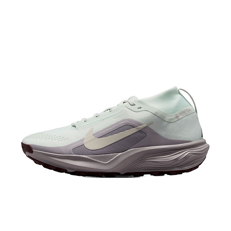 Кроссовки Nike ACG Pegasus Trail Gore-Tex