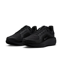 Кроссовки Nike Winflo 11 GORE-TEX