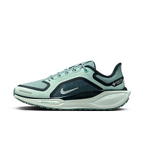 Кроссовки Nike Pegasus 41 GORE-TEX