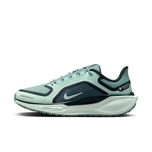 Кроссовки Nike Pegasus 41 GORE-TEX
