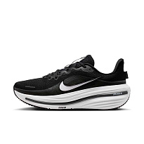 Кроссовки Nike Air Winflo 12