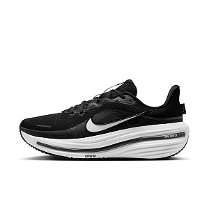 Кроссовки Nike Air Winflo 12