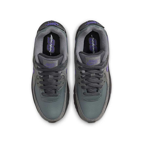 Кроссовки Nike Air Max 90 SE (GS)