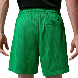 Шорты Jordan Break Champion Mesh Short