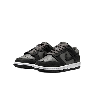 Кроссовки Nike Dunk Low Special Edition (GS)