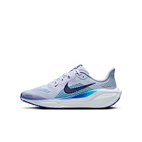 Кроссовки Nike Pegasus 41 (GS)