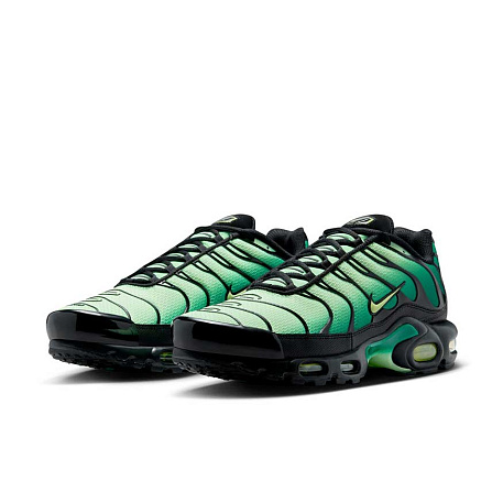 Кроссовки Nike Air Max Plus