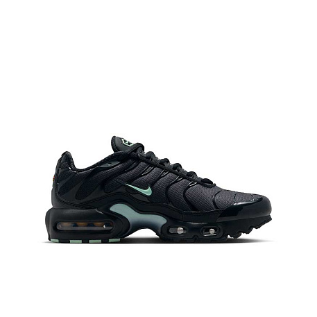 Кроссовки Nike Air Max Plus (GS)