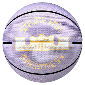 Мяч баскетбольный Nike Playground 2.0 8P LeBron James