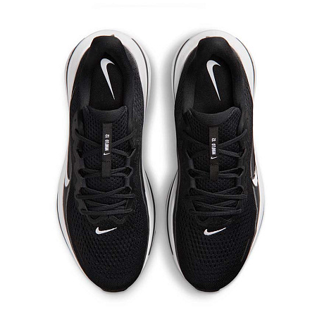Кроссовки Nike Air Winflo 12